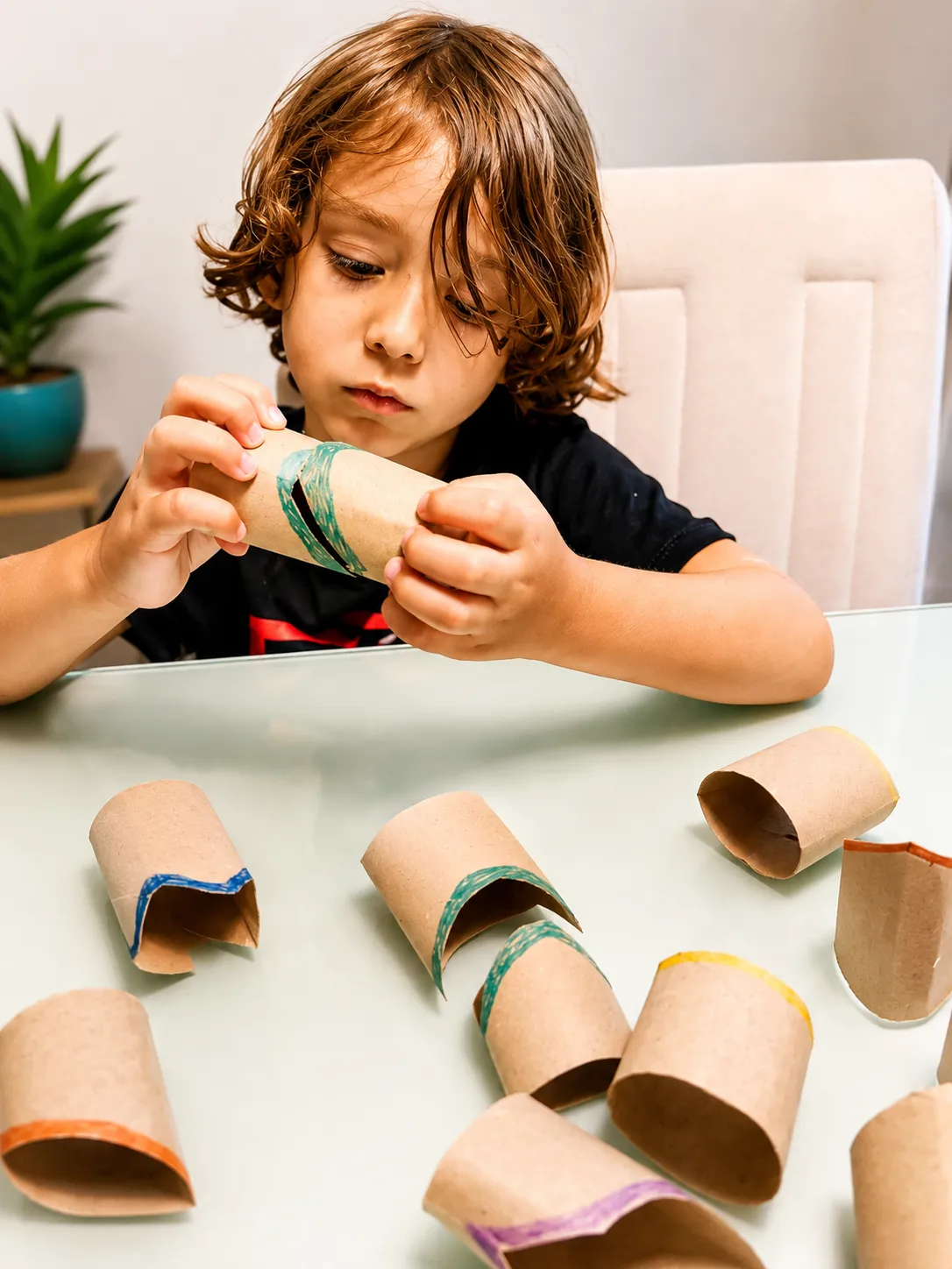 Quebra-Cabeça de Rolinhos de Papel Higiênico